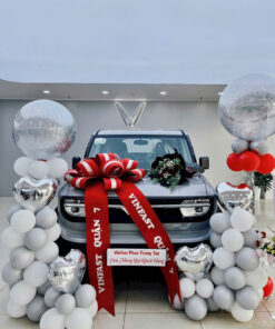 VinFast VF3: Giá Lăn Bánh, Khuyến Mãi Mới Nhất Tháng