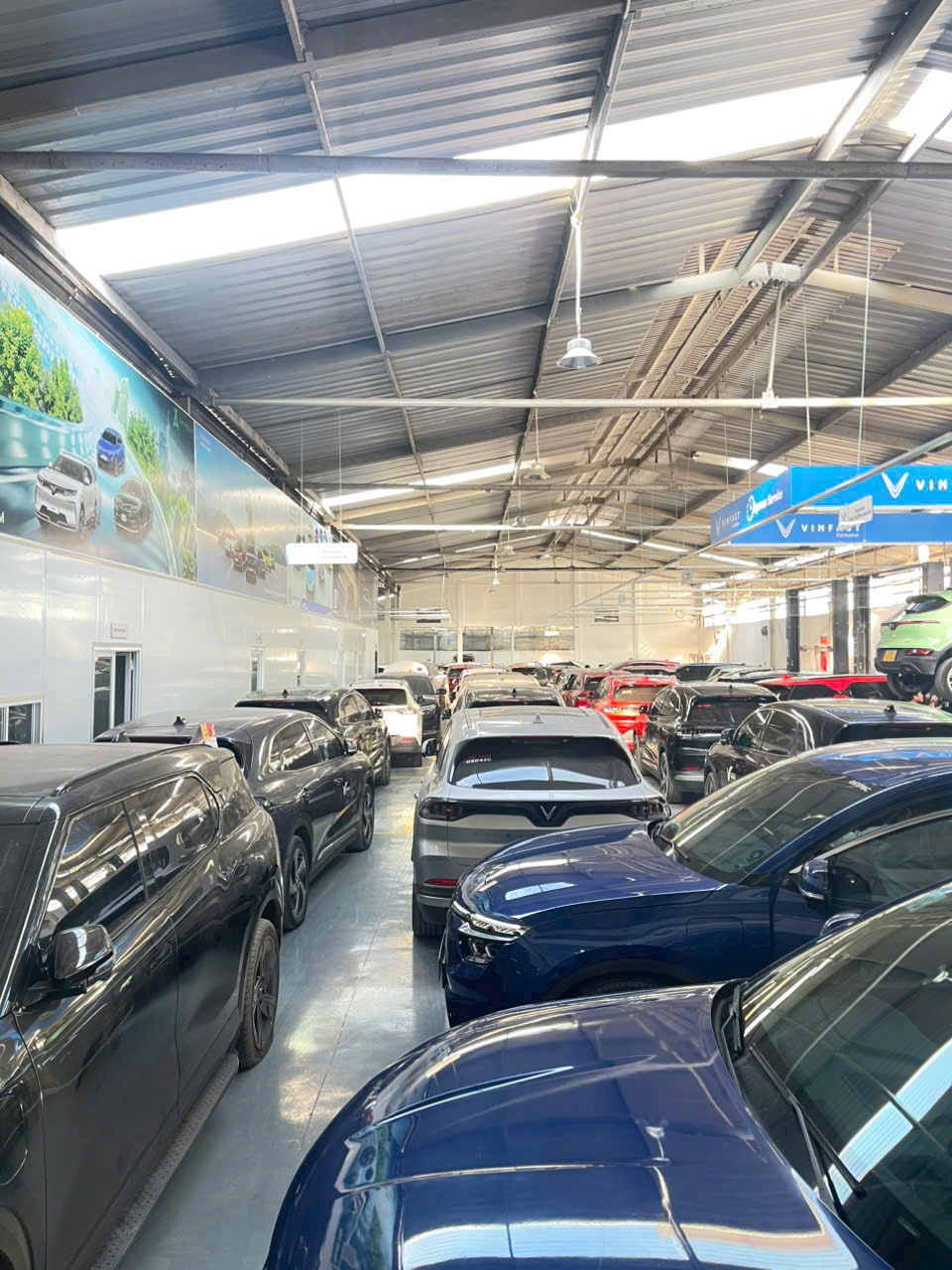 Rất nhiều dòng xe điện Vinfast được cho thuê